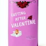 Hollywood Hearts Book 2 by Walton House Publishing Kindle-0