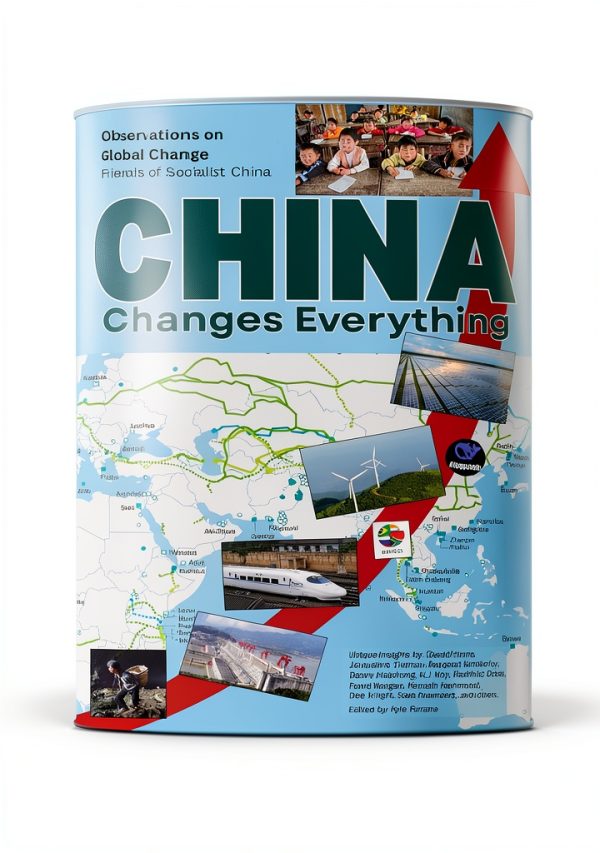 Chinese History Kindle eBook by World View Forum 346 Page Study-0